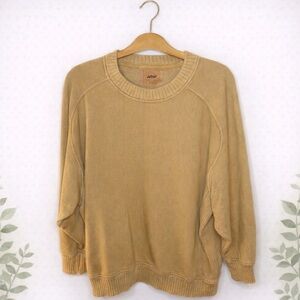 Aerie Tan Crewneck Sweatshirt Men’s Large Cozy Lounge Pullover Neutral